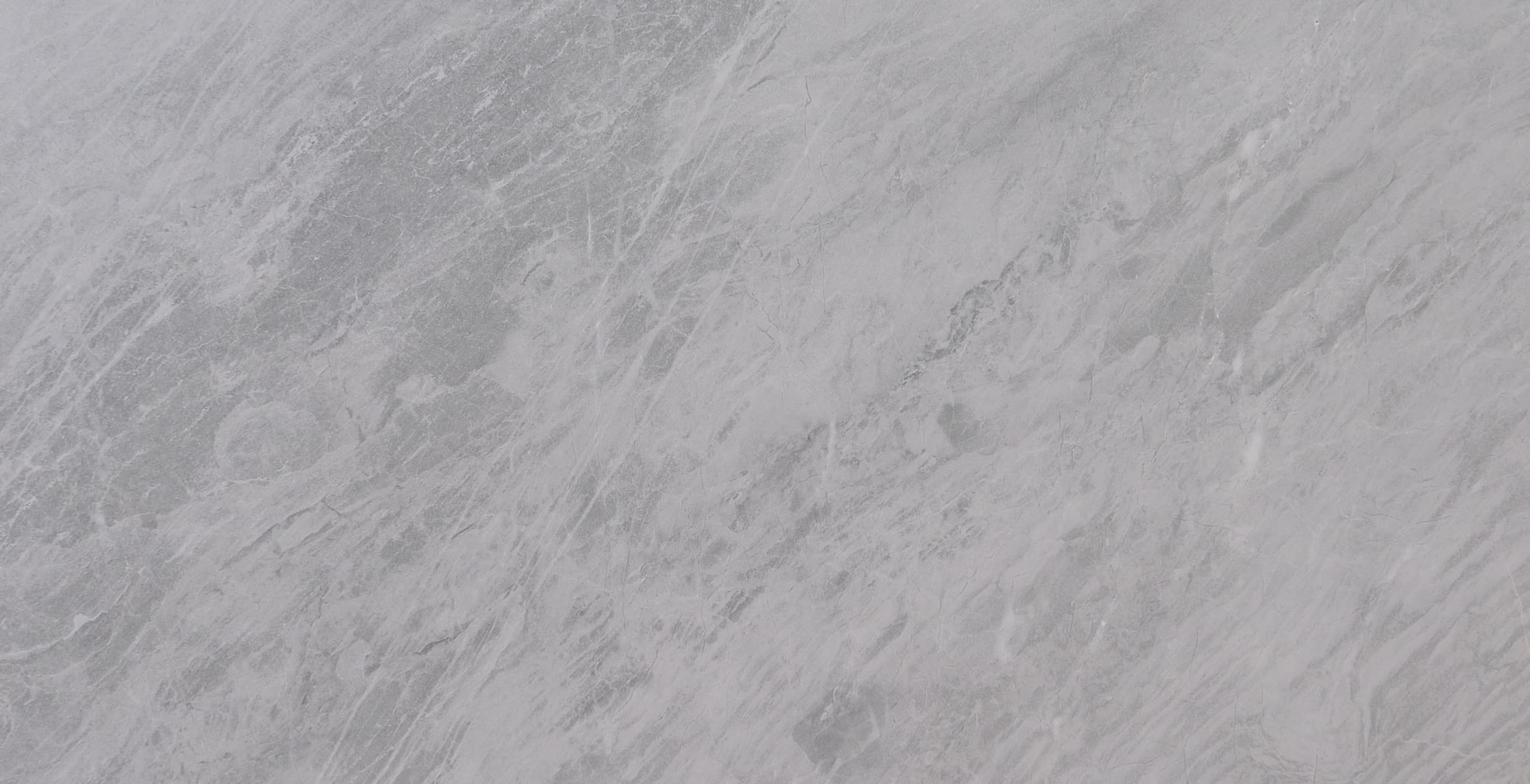 Image d'une tranche en Bleu de Savoie®.